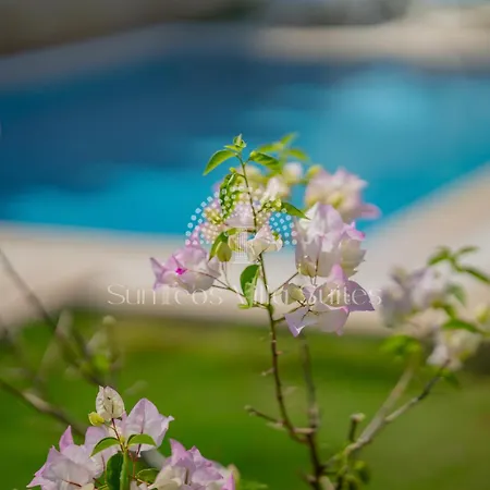 Hotel Sunteos *