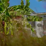 Hotel Sunteos Fethiye