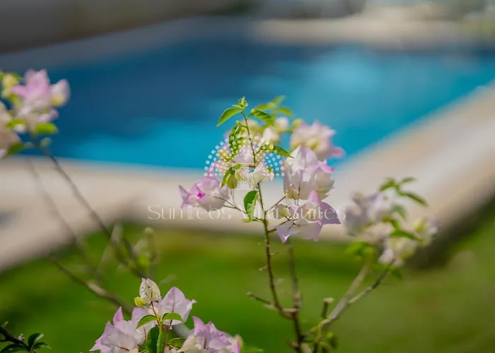 Hotel Sunteos *